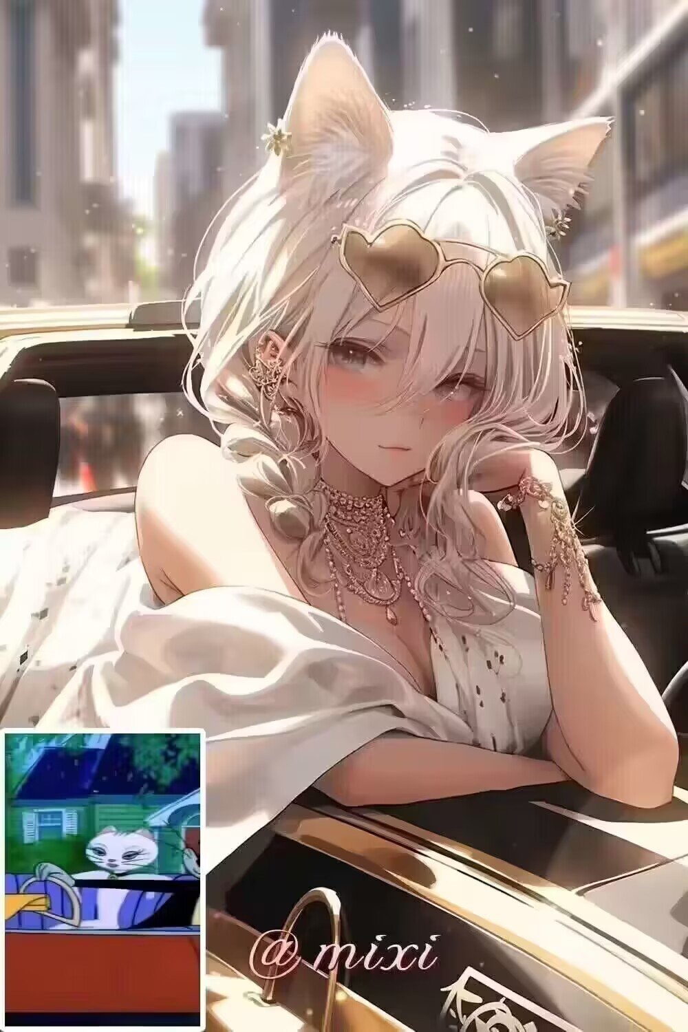 猫图来咯2