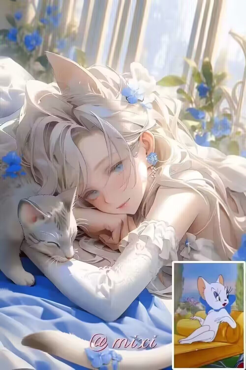 猫图来咯8