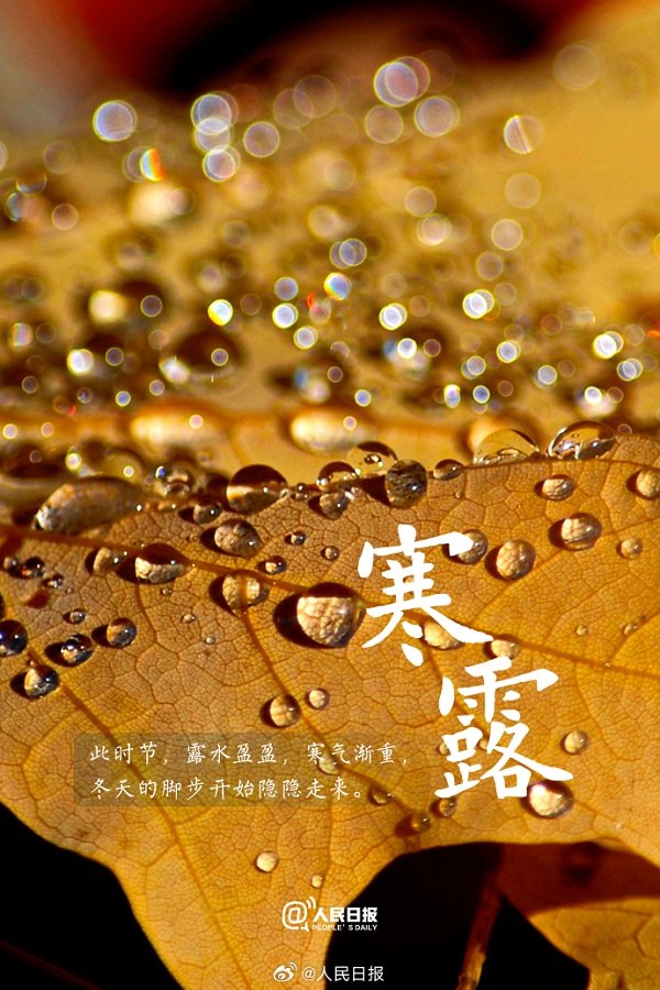 你感受到入秋的氛围了吗？1