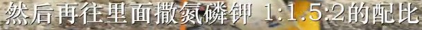 【食贫道】福岛、东电内部实地调查31