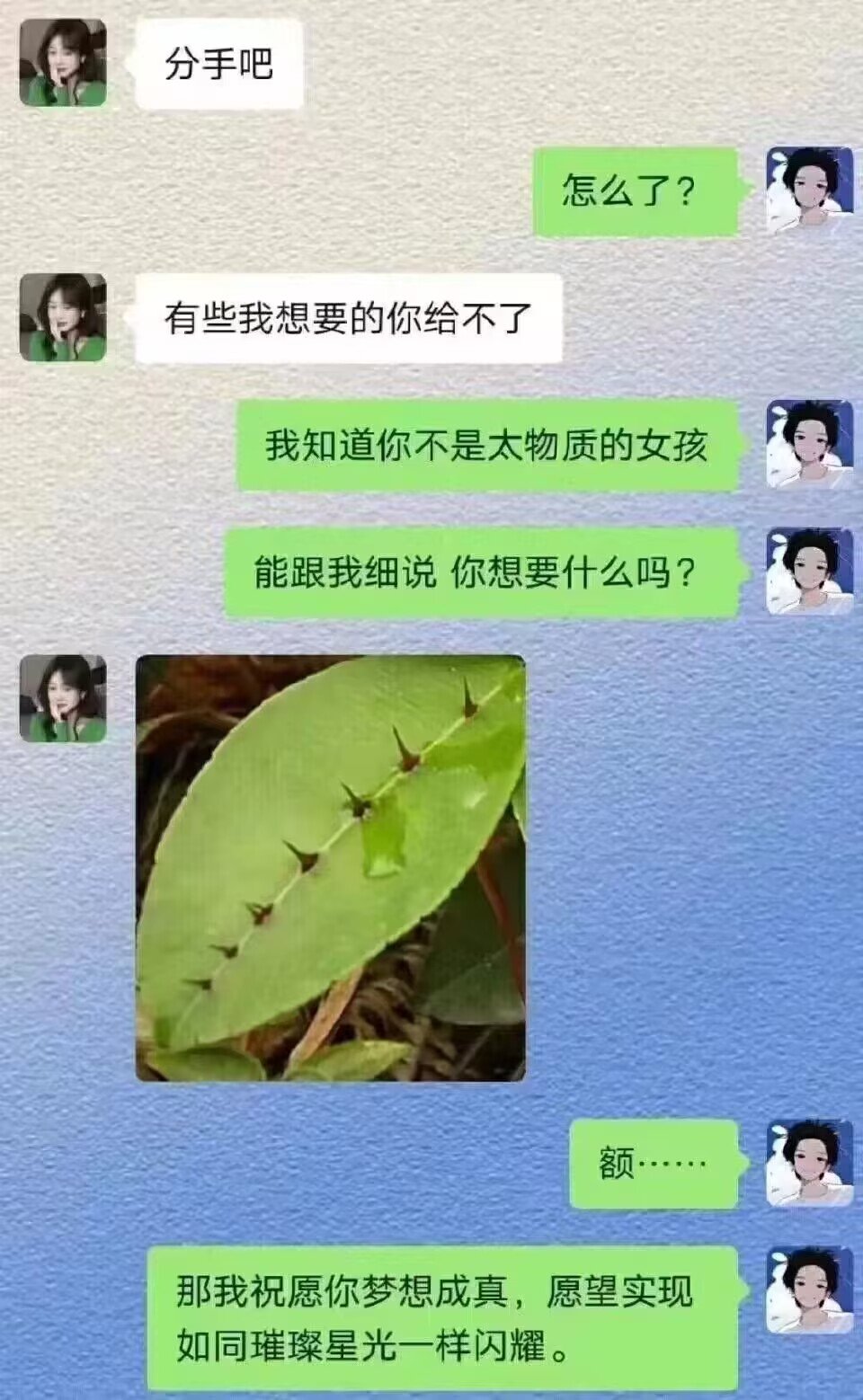 好厉害的感觉，一叶七刺！1