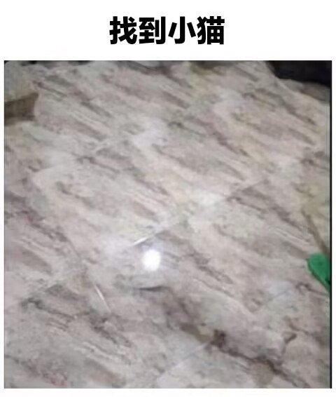 现在是，找小猫时间2