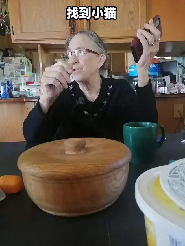 现在是，找小猫时间4