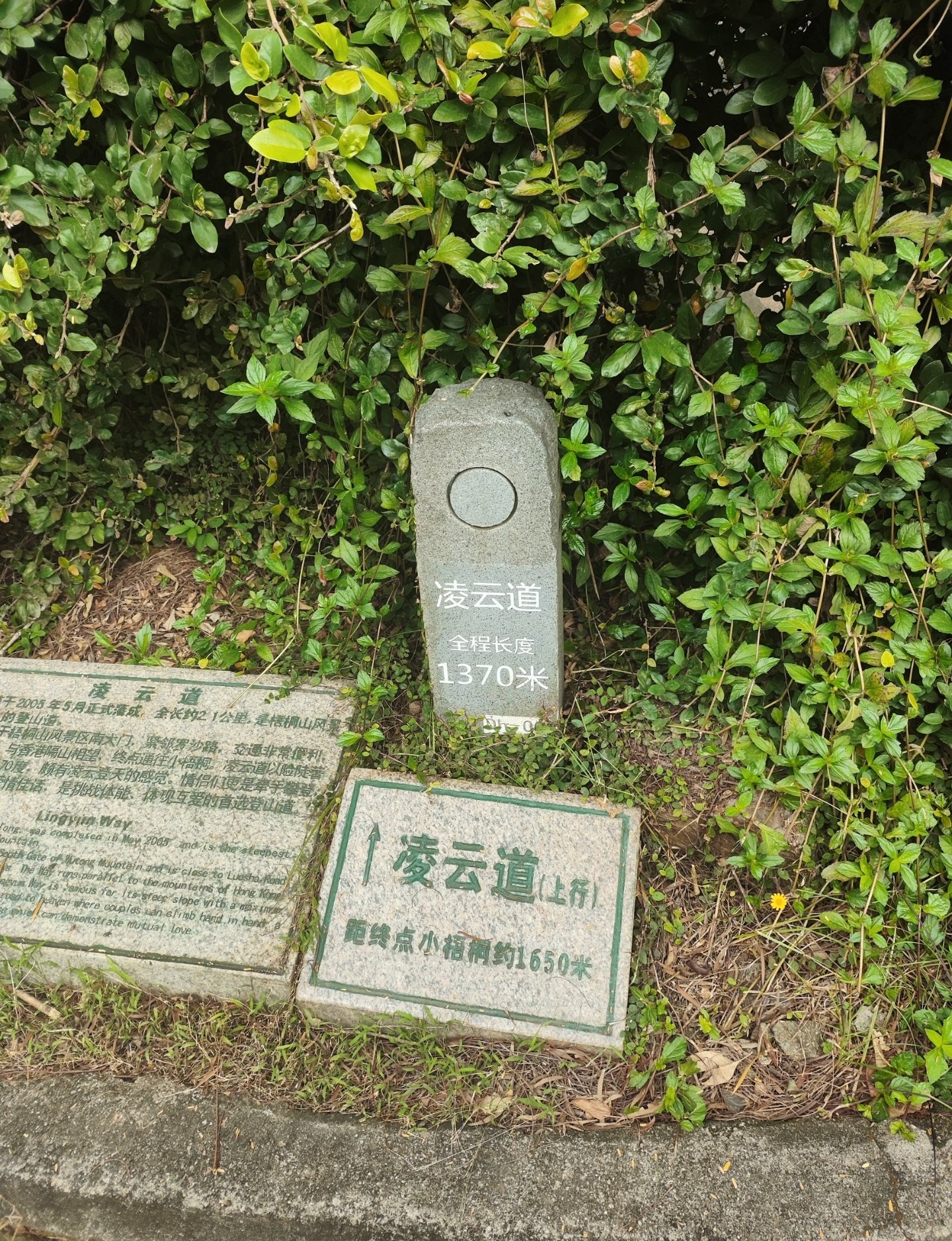 上山下海的一天1