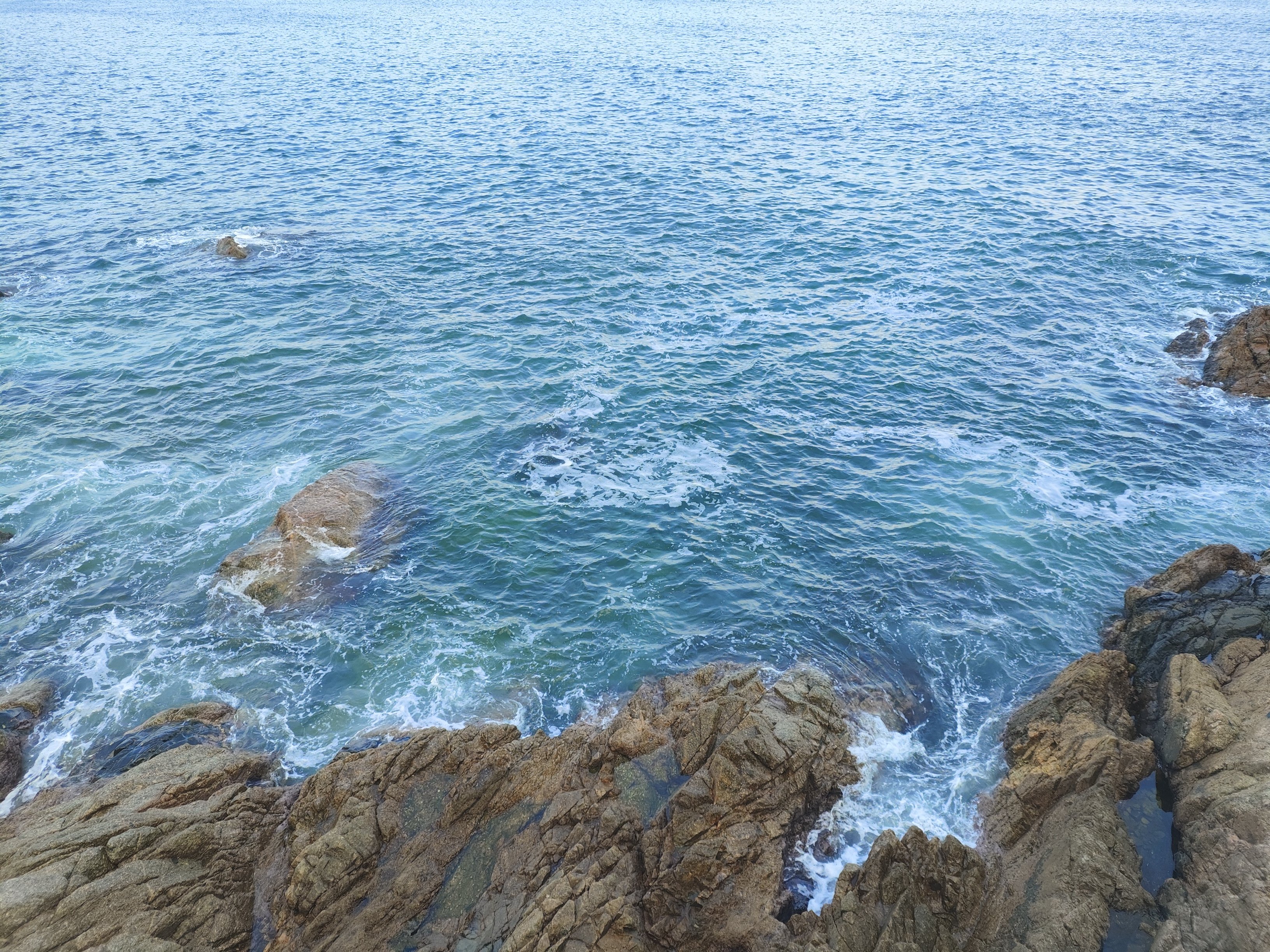 上山下海的一天4