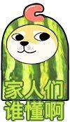 家人们谁懂啊1