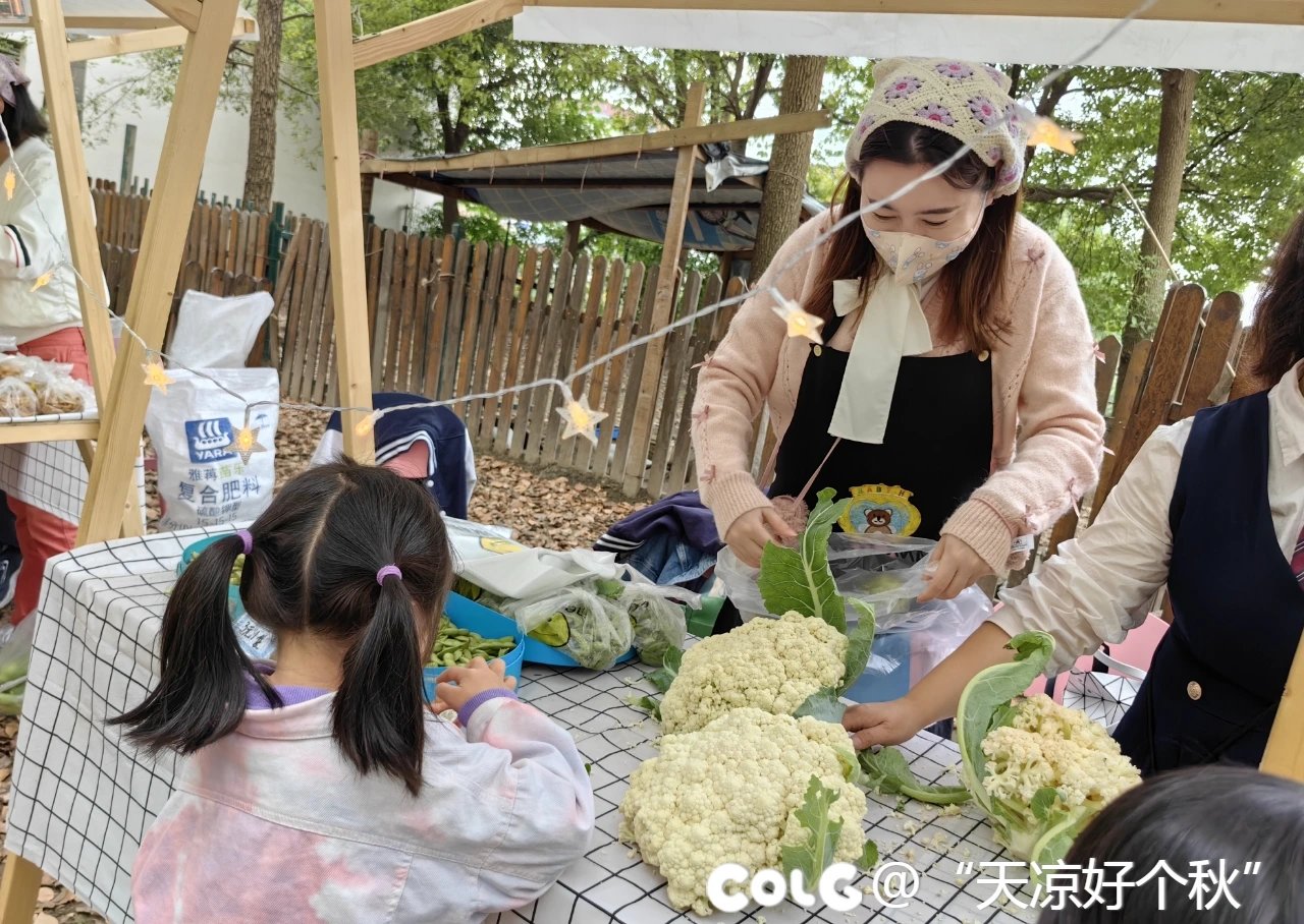 秋收的季节  乐享童趣4