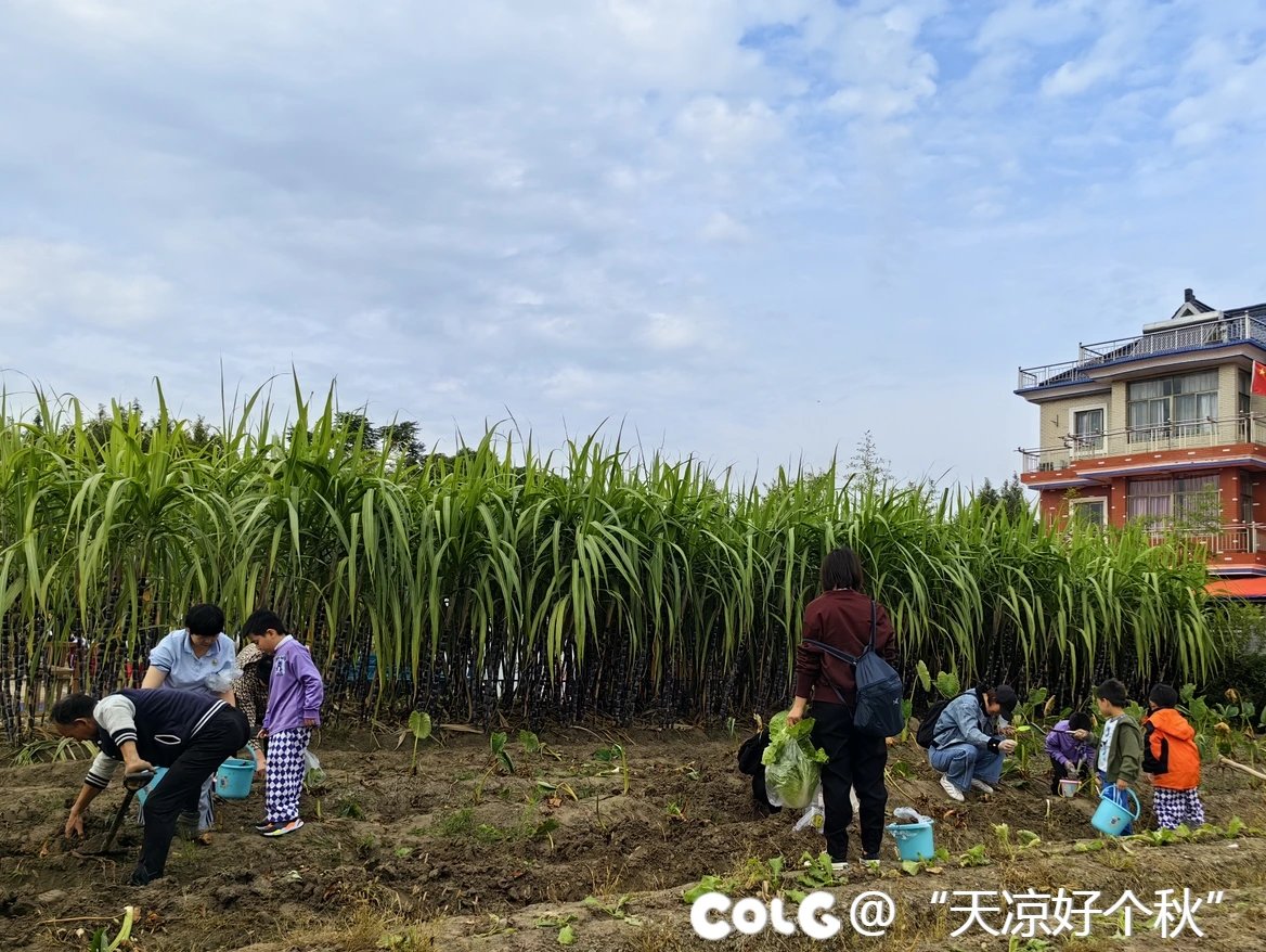 秋收的季节  乐享童趣9