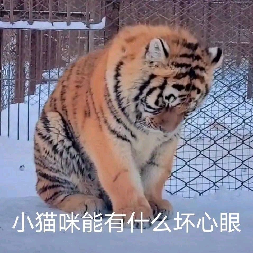 做梦梦到熊孩子，纠纷结局会怎么样1