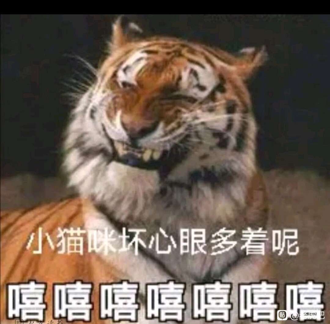 做梦梦到熊孩子，纠纷结局会怎么样2
