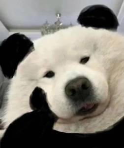 糖，前10 、、、、1