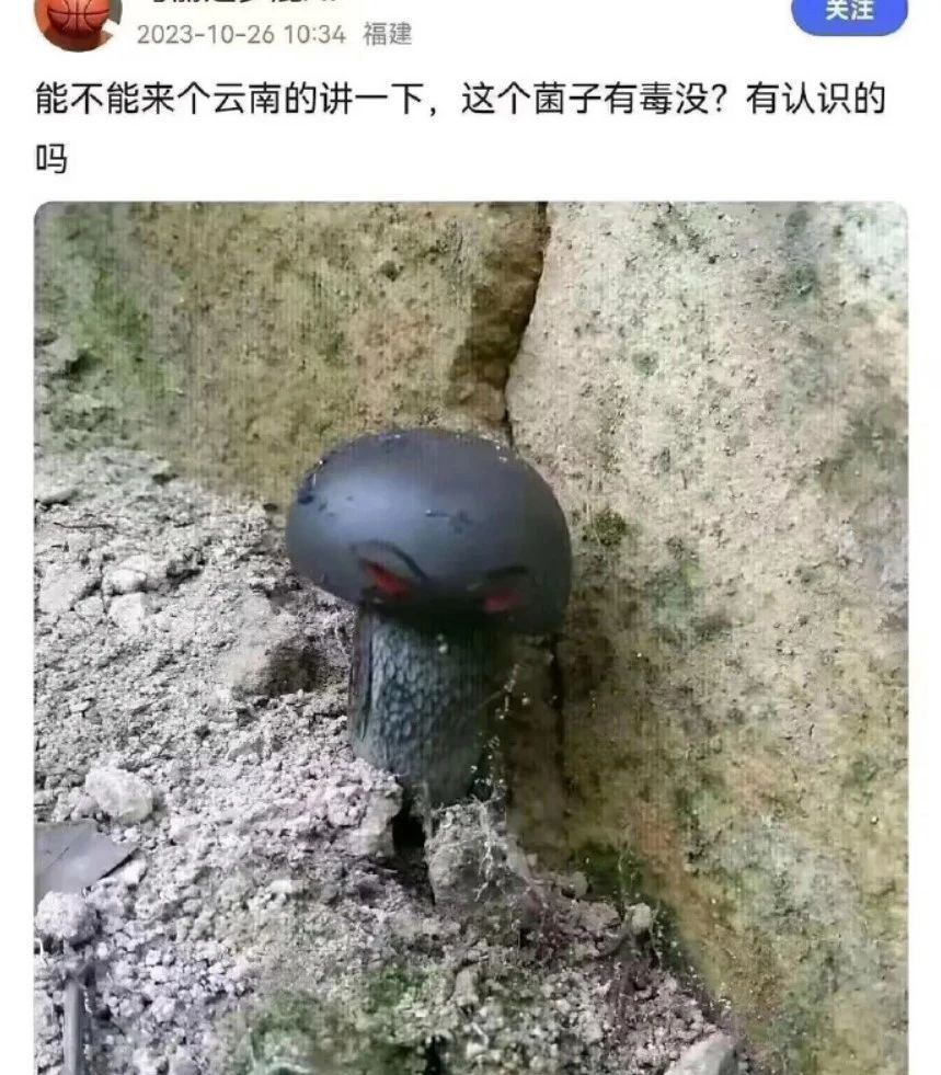 图图2