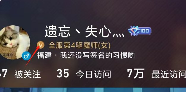 DNF助手排名的这个V怎么弄出来的？2