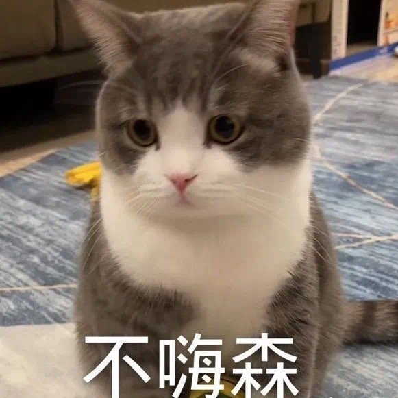 大晚上被蜜蜂蛰了1