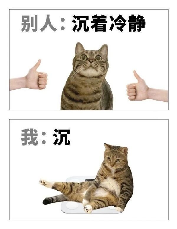 《猫图》2