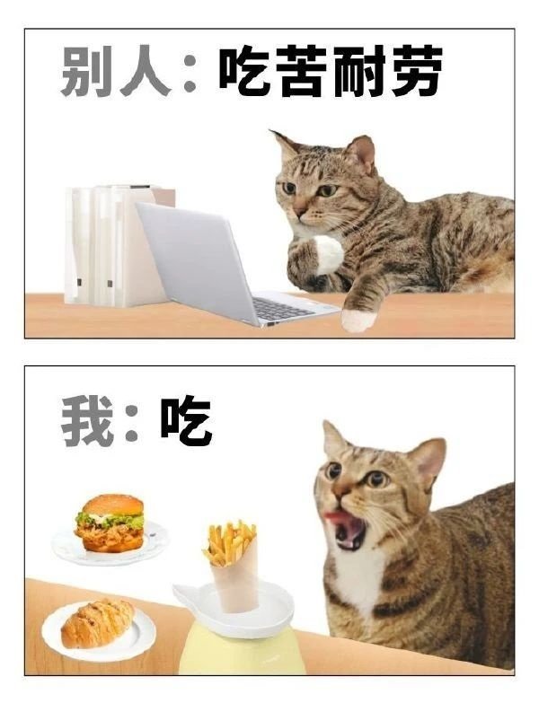 《猫图》3