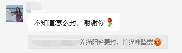 养猫不封窗1