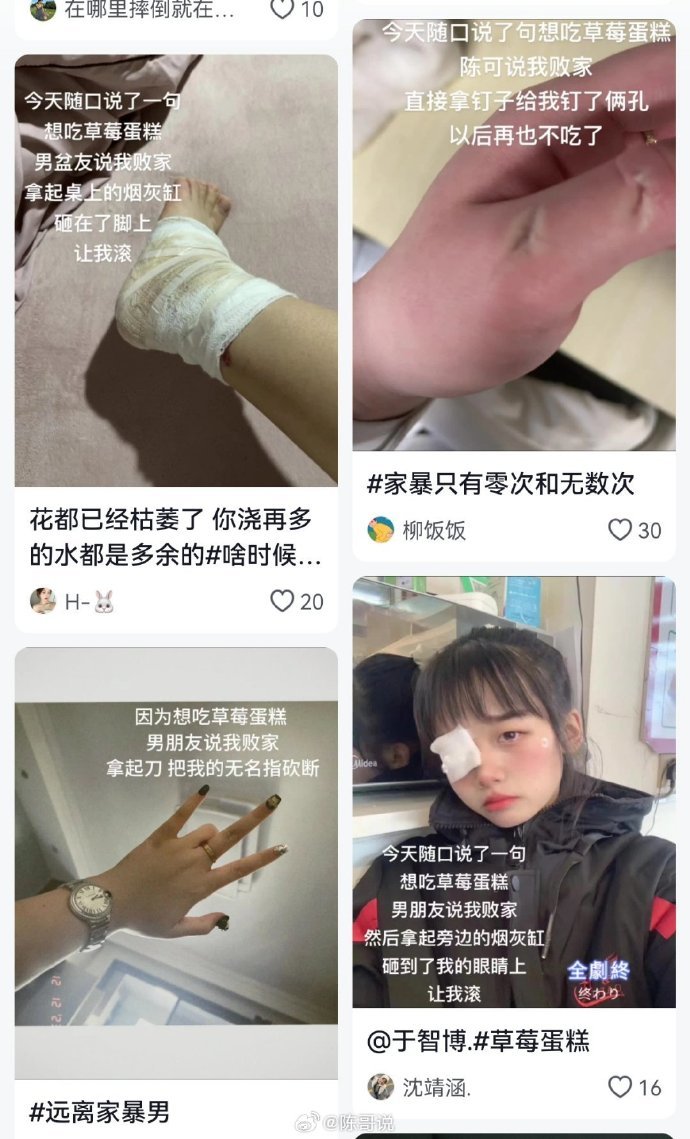 想吃草莓蛋糕，男朋友说我败家2