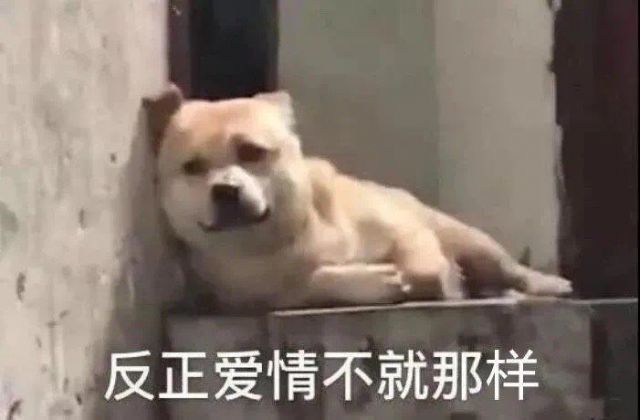 这是在池塘见过几对这样了1