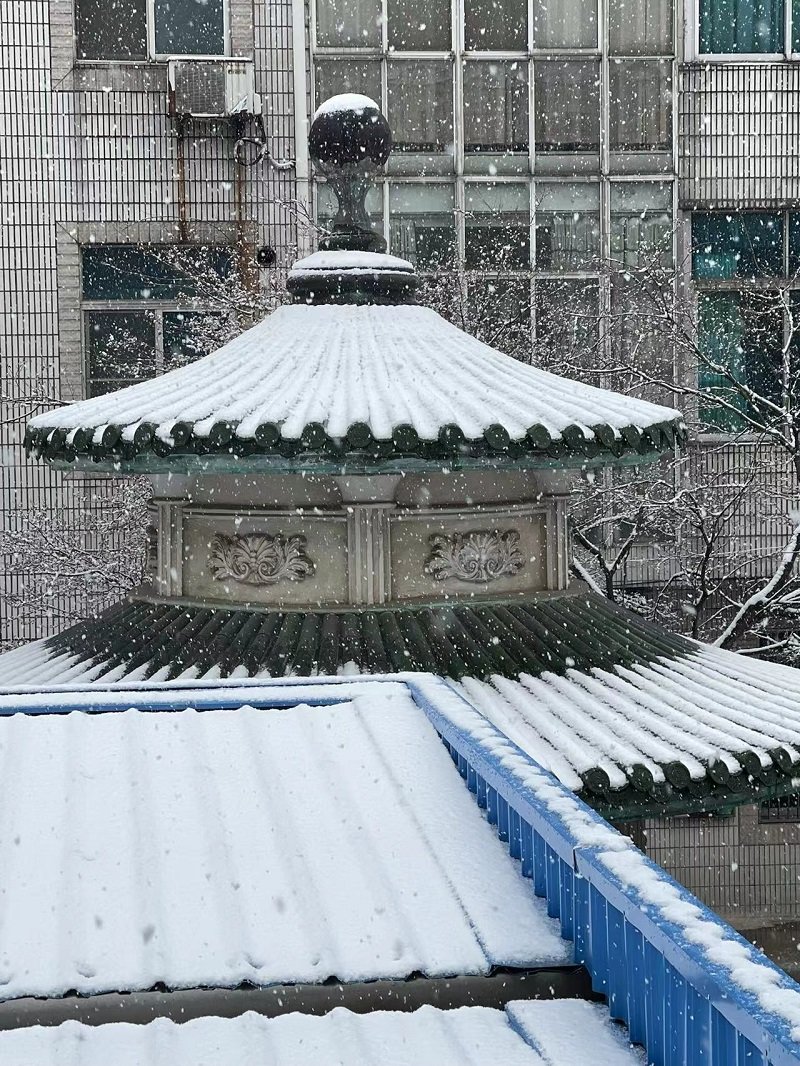 下雪了，出去你会打伞吗？3