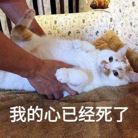 糖，前10 ，，，，1