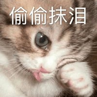 哈人，隔壁创p第一天就已经有人装备升满级了1
