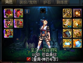纯粑粑0特色小号养猪神界高级本的一个装备思路2