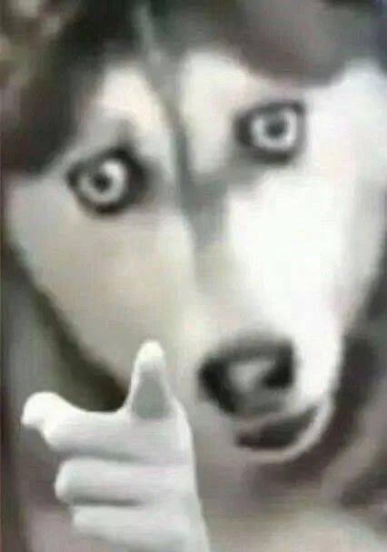 百毒啥时候四2