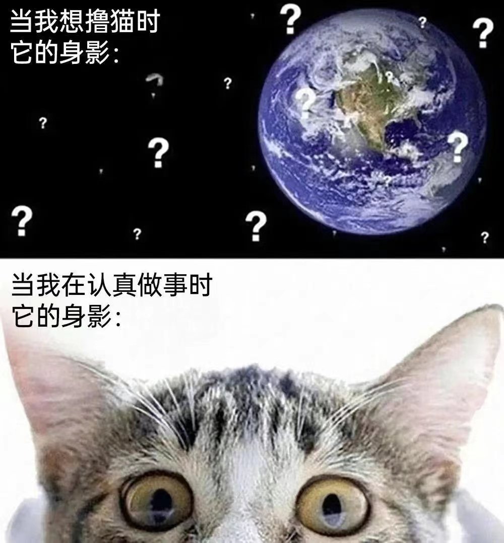 上班上班。。1