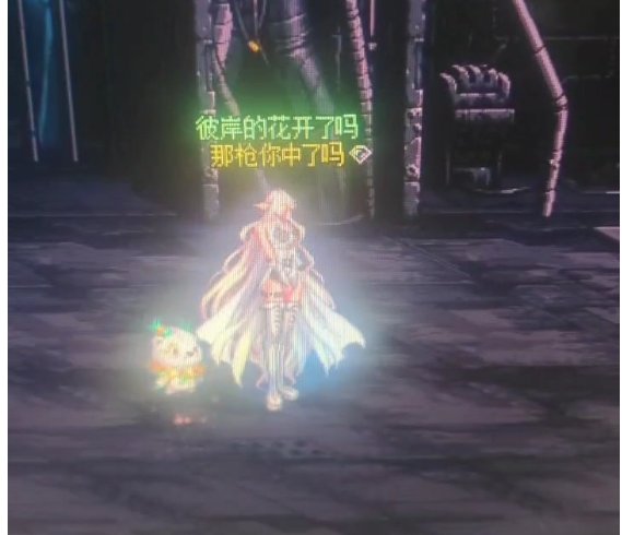 求助，为什么角色得皮肤一闪一闪的1