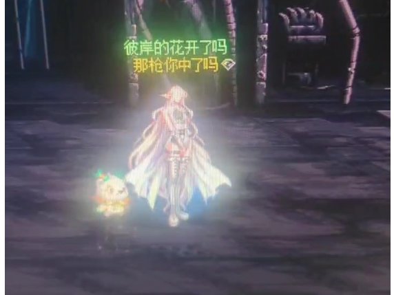 求助，为什么角色得皮肤一闪一闪的2