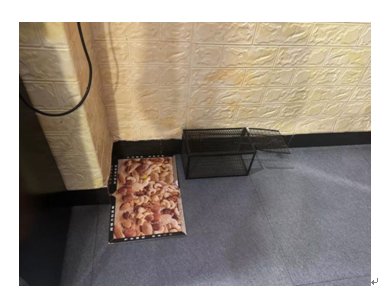 我一直以为那个画满了坚果的粘鼠板是个P图梗，直到我看到……1