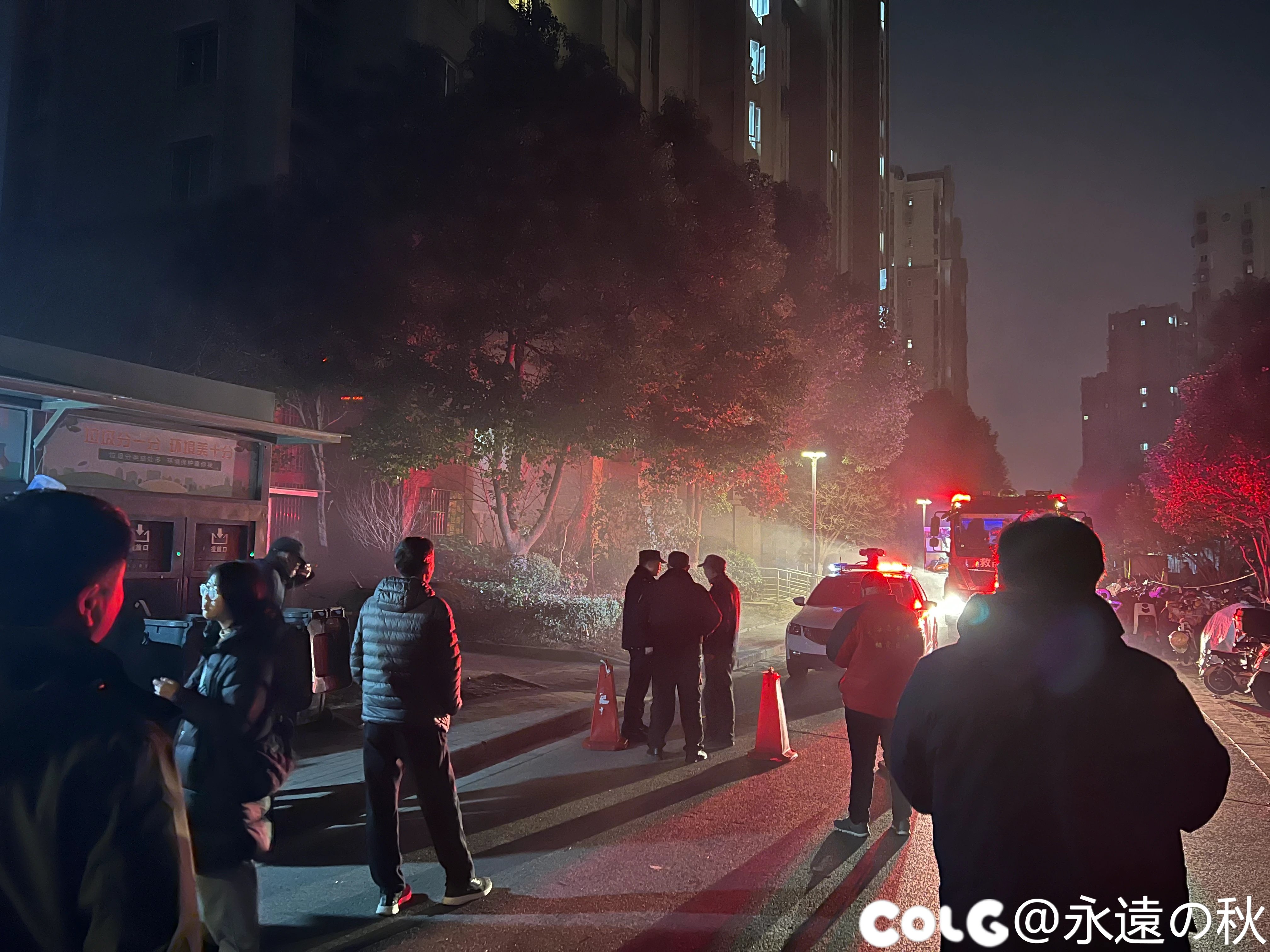 一个人去看电影总得要点理由吧3