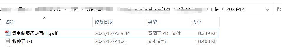 【整理微信文件】发现‘紧身制服诱惑写真.pdf’打开看看。1