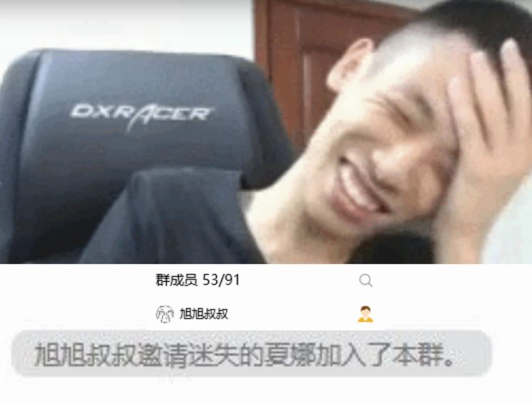 旭旭宝宝立大功！魔道夏娜传奇归来！DNF圈内顶流电子宠物！2