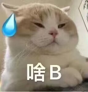 猜猜我贴膜哪来的？3