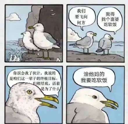 来点海鸥合集1