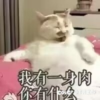 熟练度毕业了，可以摆烂了3