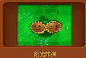 最近玩杂交版pvz好上头2