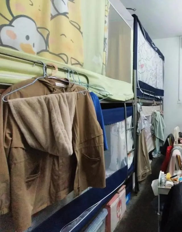 多地高校禁止学生挂床帘，辅导员：“隐形墙”挡住了安全与人际交往1