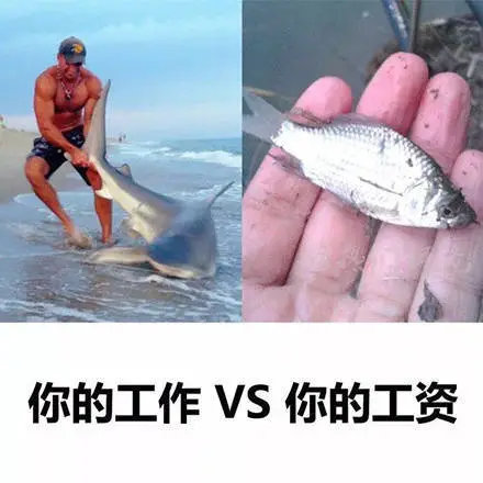你的工作和你的工资成正比吗？？？1