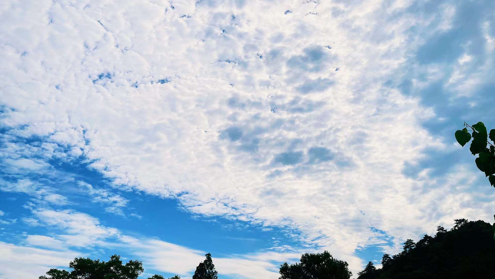 今天天是真不错5