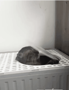 今日一图1