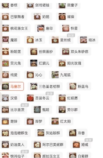 好久没关注多肉怎么现在新品种又这么多1