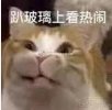 最近魔皇的声音挺大啊？1