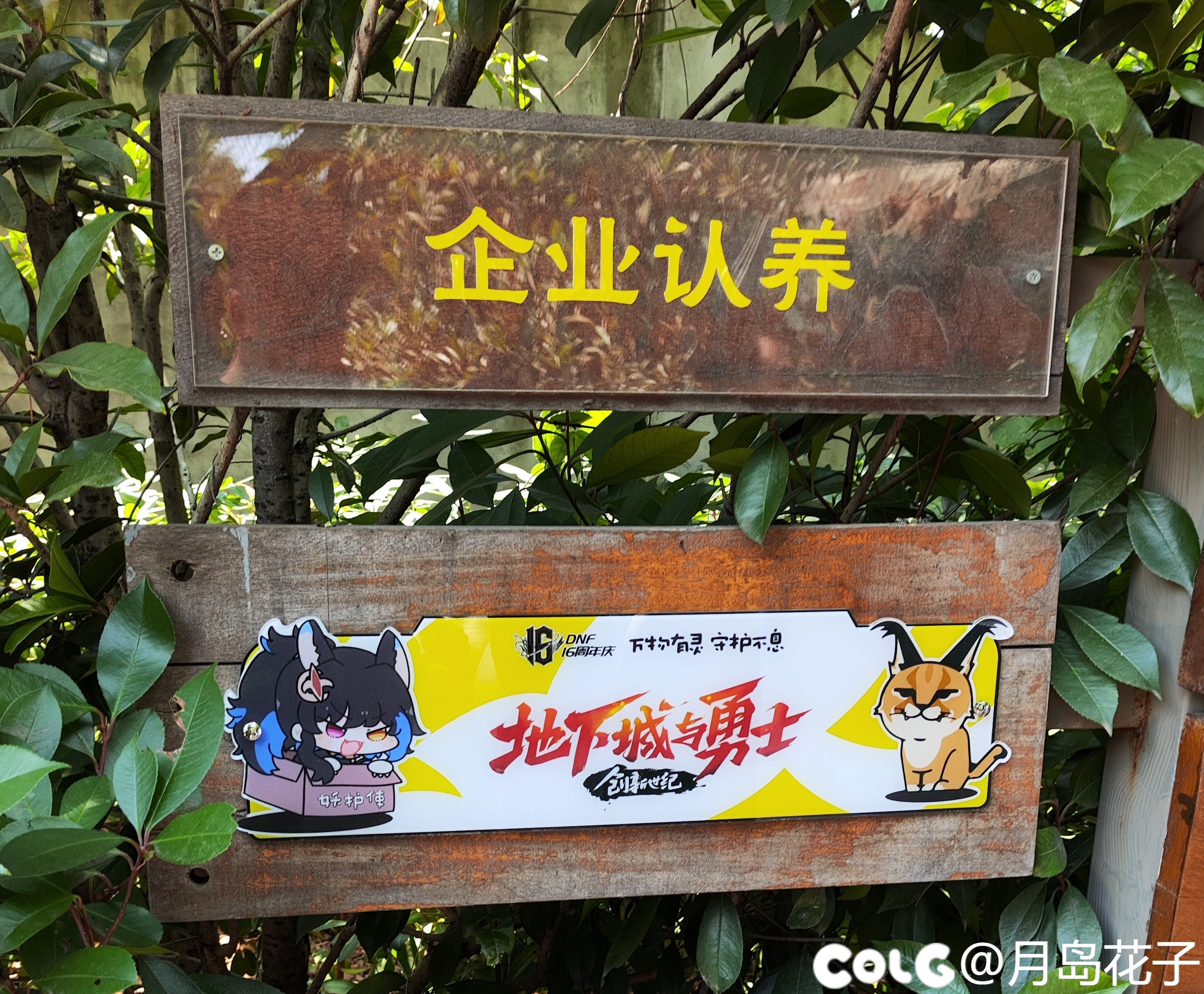 万物有灵，守护不息-南京红山森林动物园xDNF联动半日游2