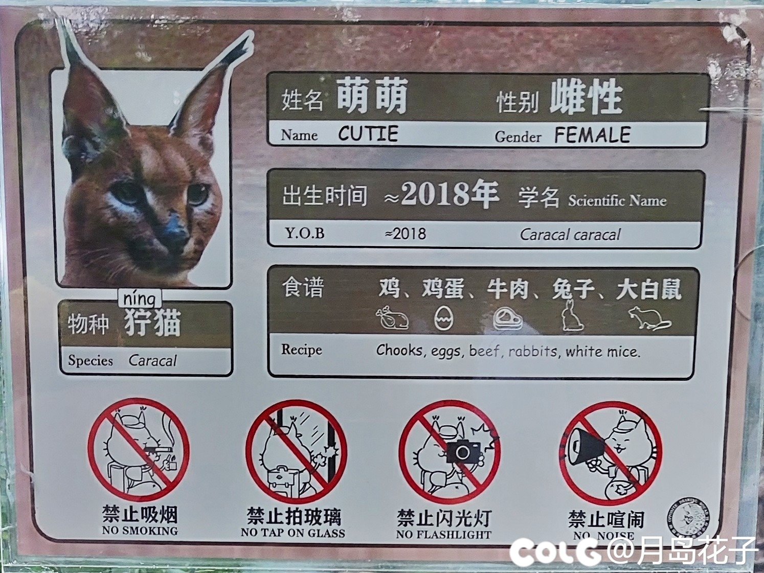 万物有灵，守护不息-南京红山森林动物园xDNF联动半日游6