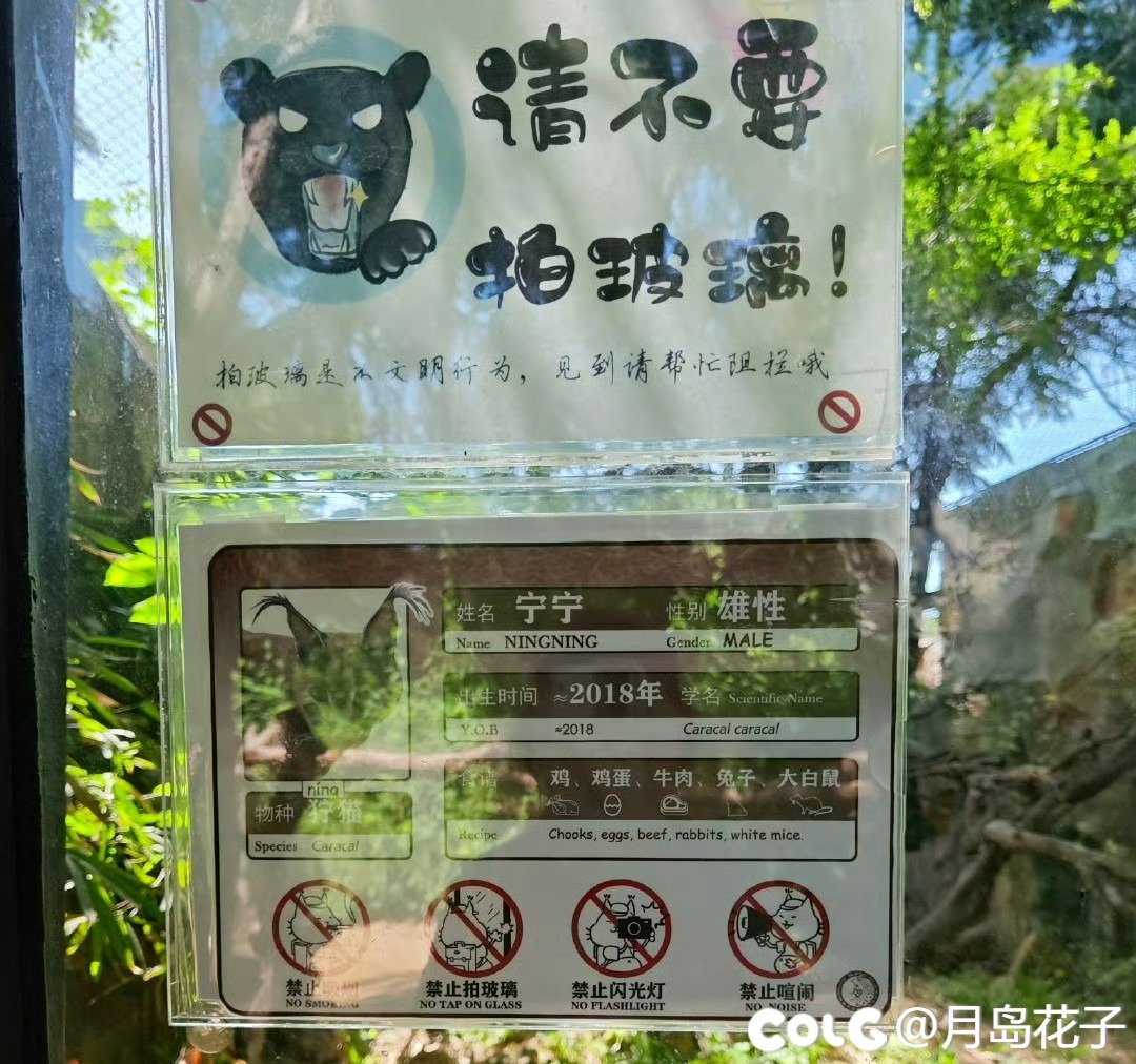 万物有灵，守护不息-南京红山森林动物园xDNF联动半日游4
