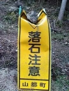 今日一图1