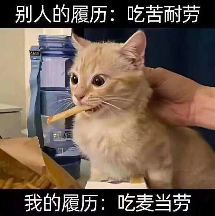 周四了喂1